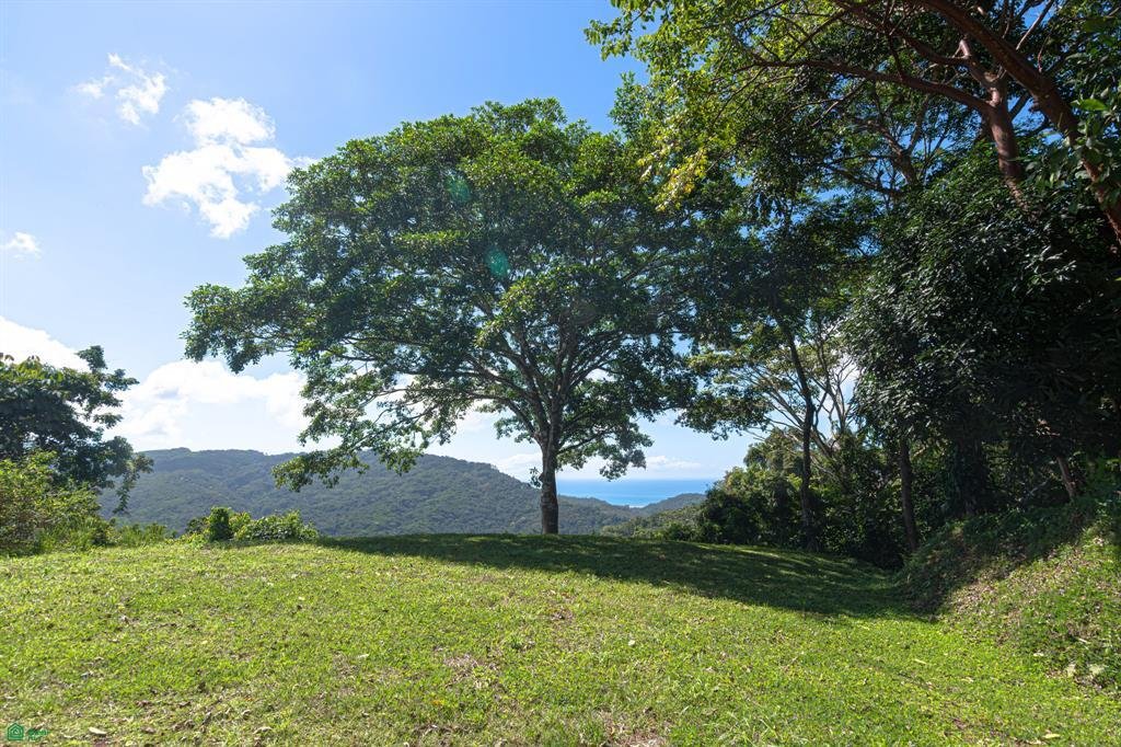 Land in Bahía Ballena, Pérez Zeledón, Costa Rica 4 - 18111949