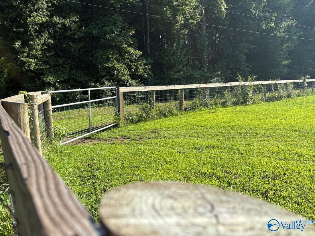 House in Elkmont, Alabama, United States 4 - 18528541