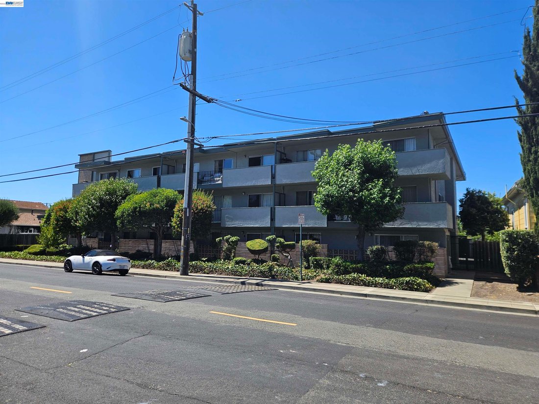 Hayward, California, United States 3 - 18528746
