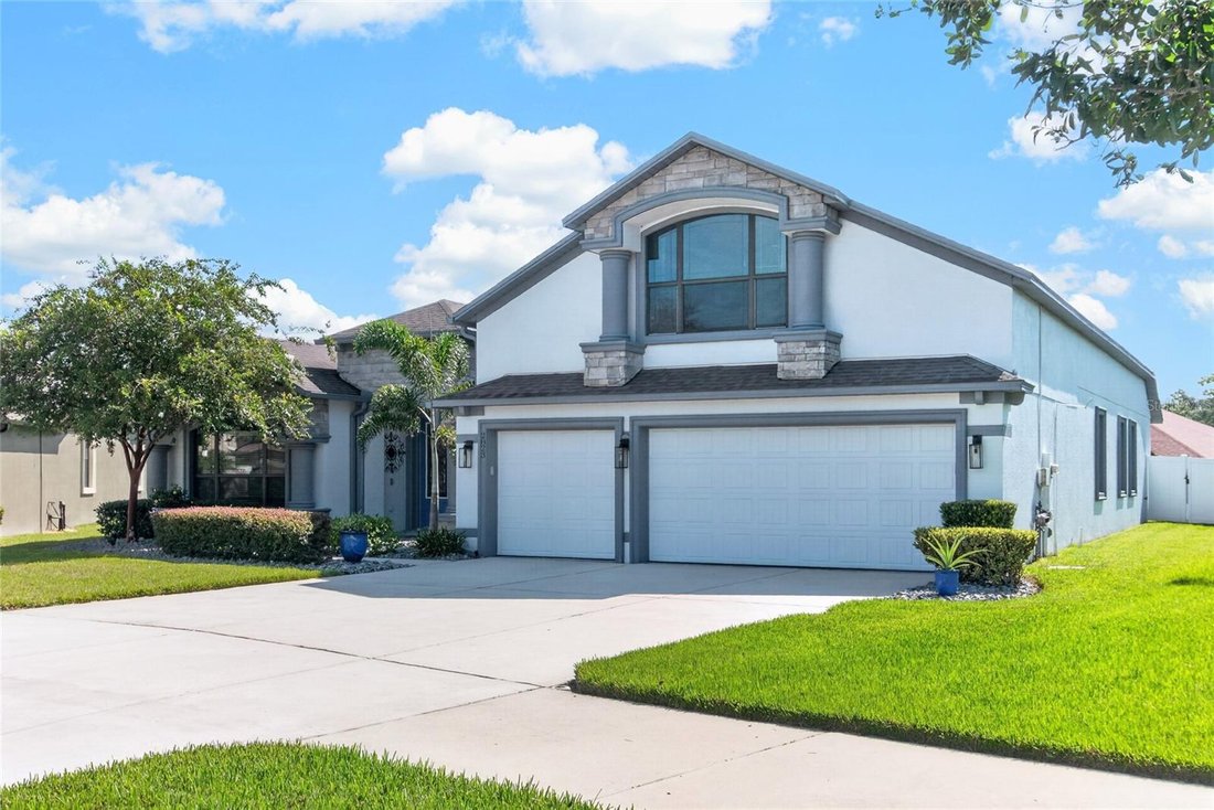 House in Dover, Florida, United States 3 - 18528306