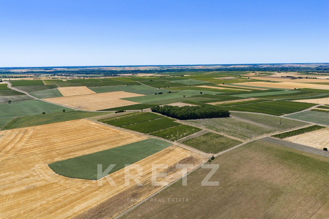 Farm Ranch in Cognac, Nouvelle-Aquitaine, France 2 - 17725611