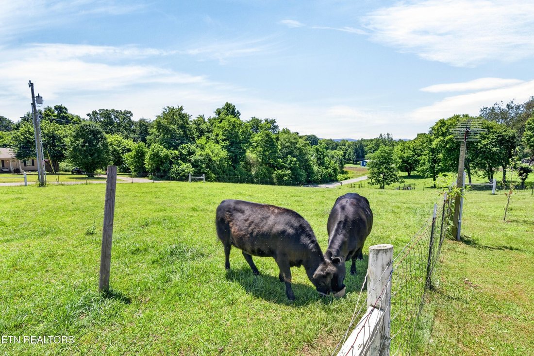 Pikeville, Tennessee, United States 3 - 18529081