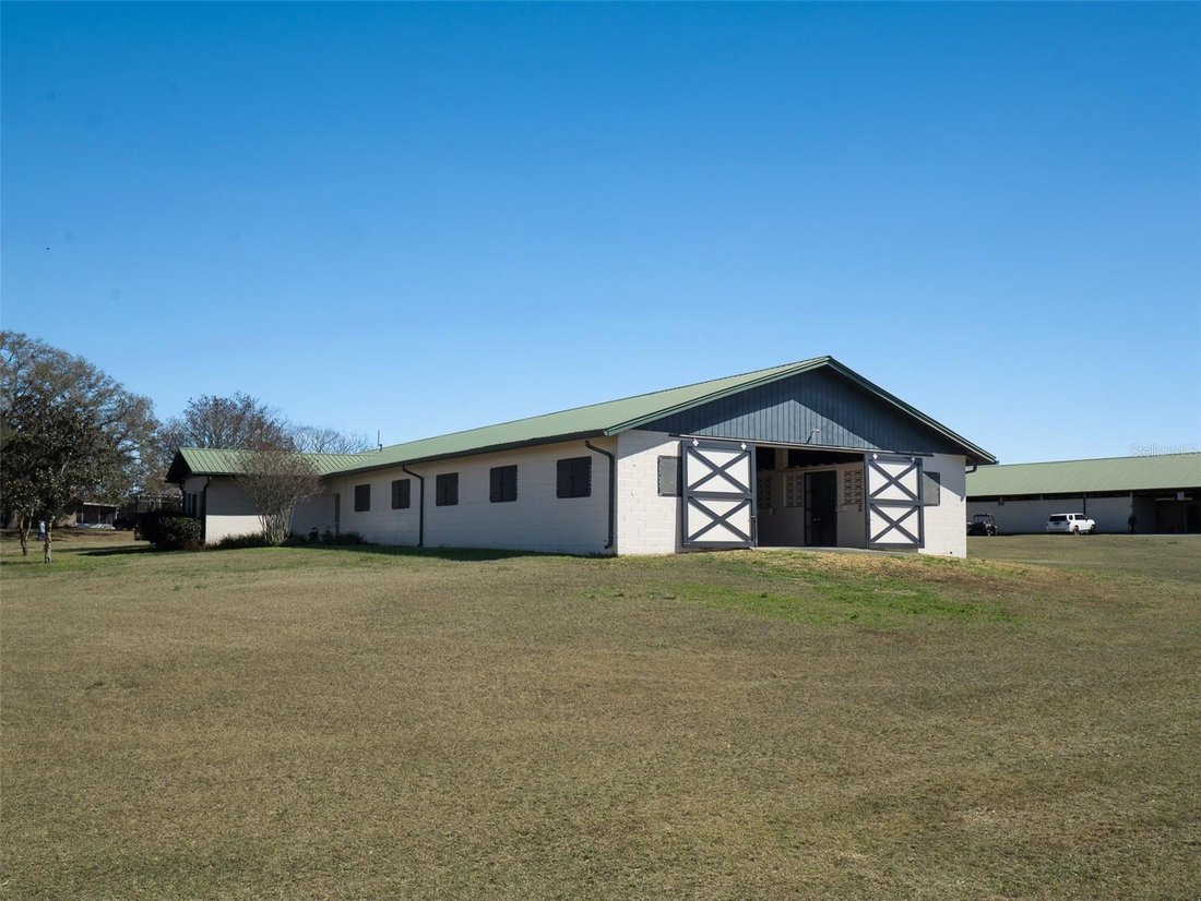 Terreno a Ocala, Florida, Stati Uniti 3 - 18528323