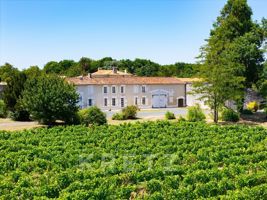 Farm Ranch in Cognac, Nouvelle-Aquitaine, France 4 - 17725611