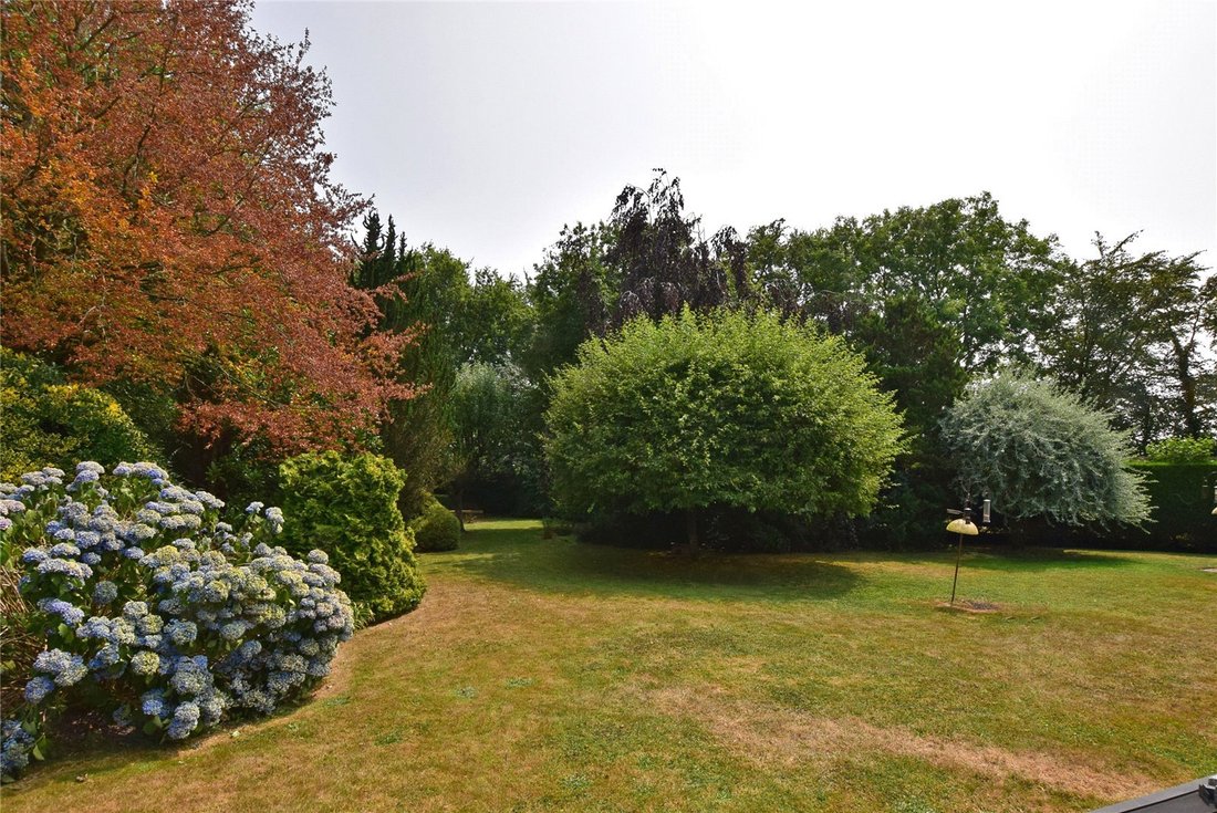 Bungalow in Sheldon, Blackborough, England 2 - 18526086