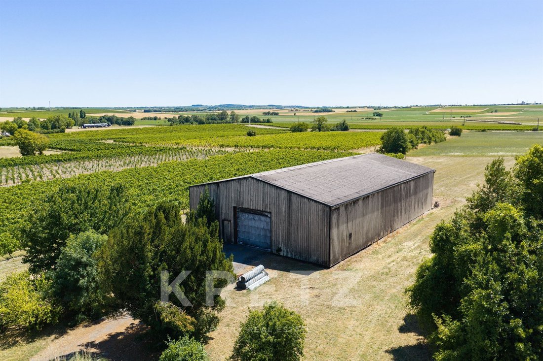 Farm Ranch in Cognac, Nouvelle-Aquitaine, France 5 - 17725611