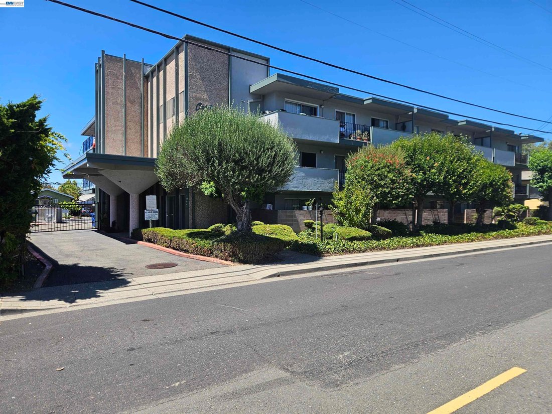 Hayward, California, United States 1 - 18528746