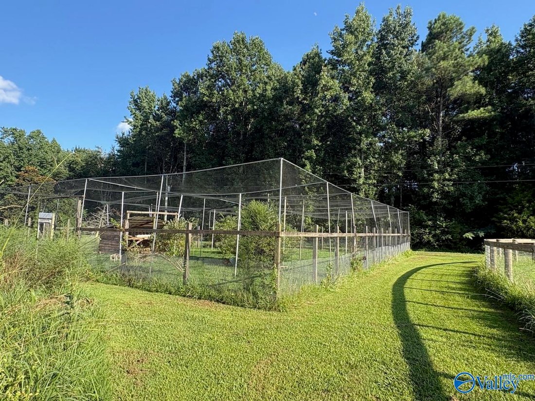 House in Elkmont, Alabama, United States 5 - 18528541