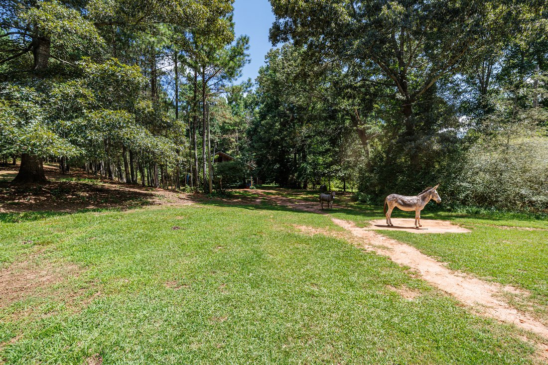 House in Milton, Georgia, United States 5 - 18527503