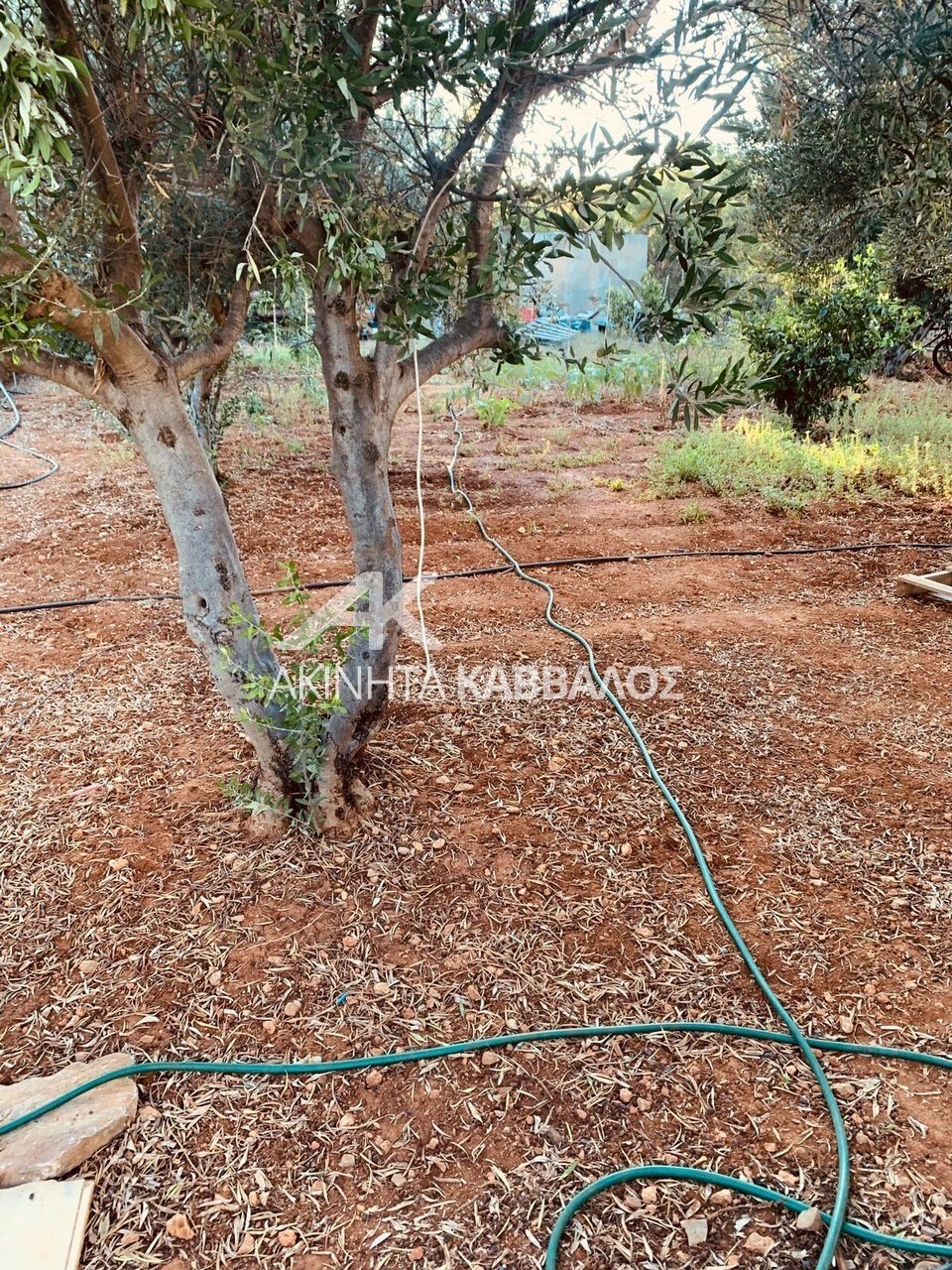 House in Community of Kalon Chorion, Agios Nikolaos Municipal Unit, Greece 4 - 18526498