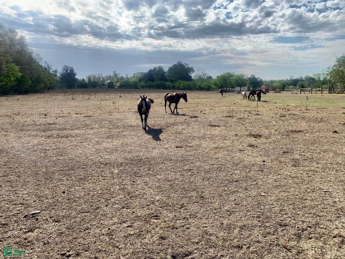 Land in City Bell, Buenos Aires Province, Argentina 4 - 17815061