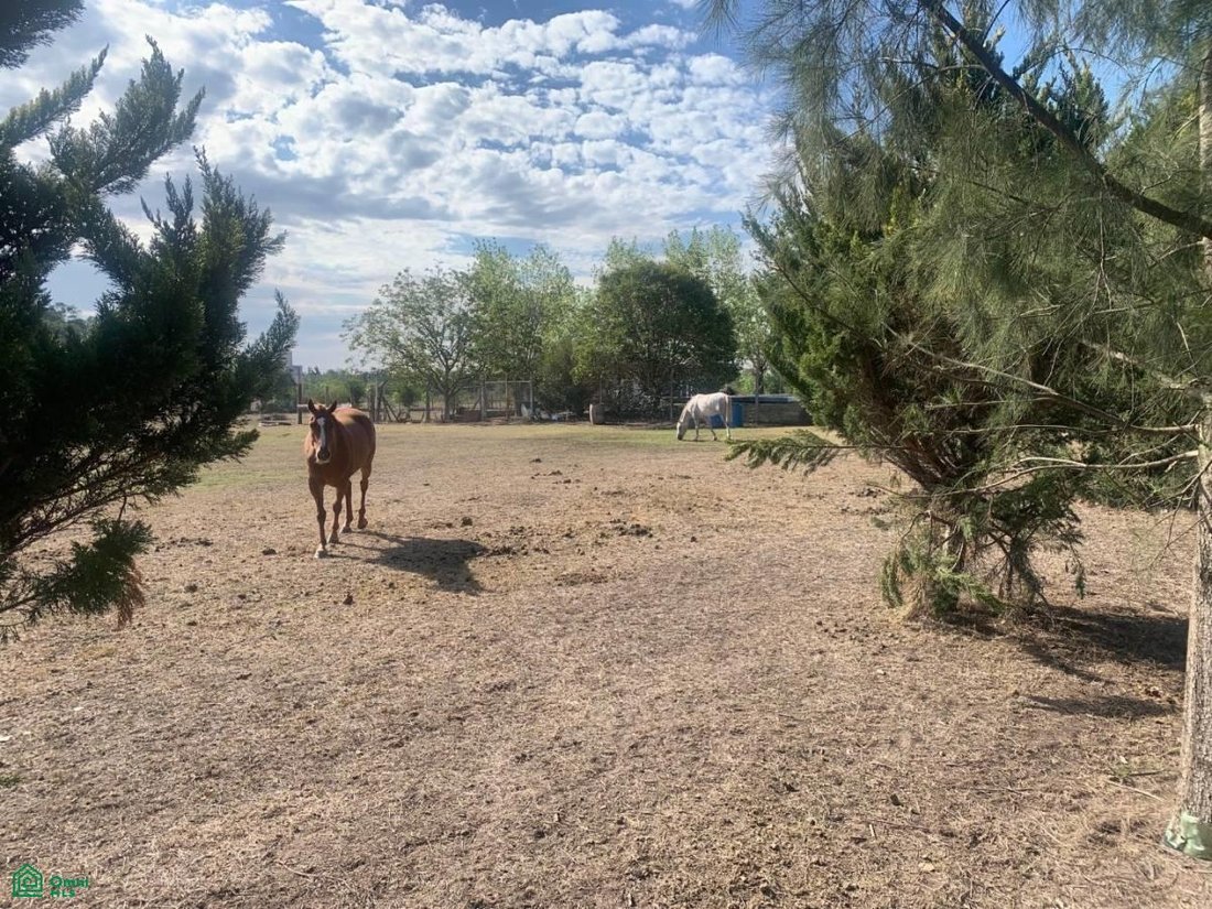 Land in City Bell, Buenos Aires Province, Argentina 1 - 17815061