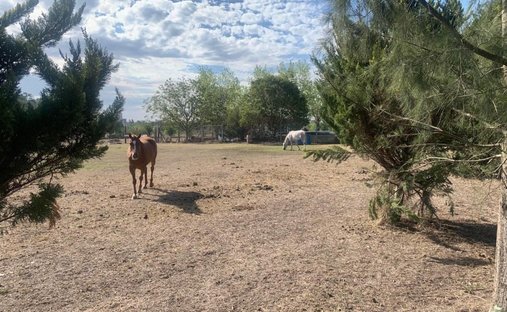 Land in City Bell, Buenos Aires Province, Argentina 1