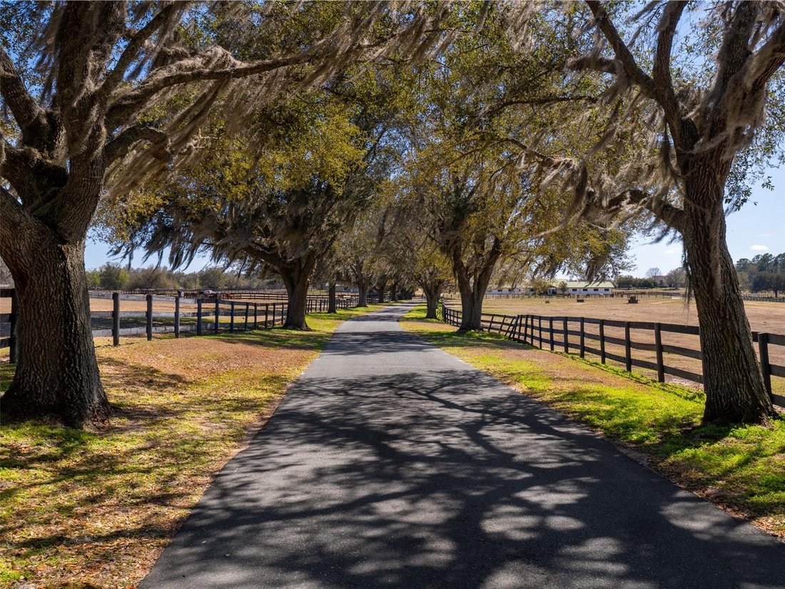 Terreno a Ocala, Florida, Stati Uniti 2 - 18528323