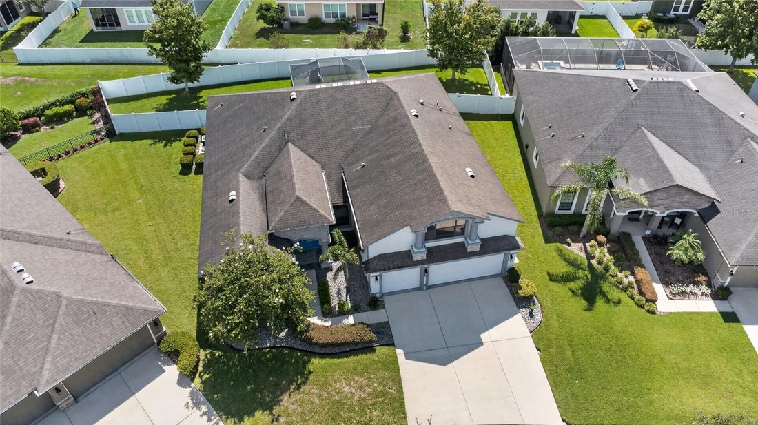 House in Dover, Florida, United States 5 - 18528306