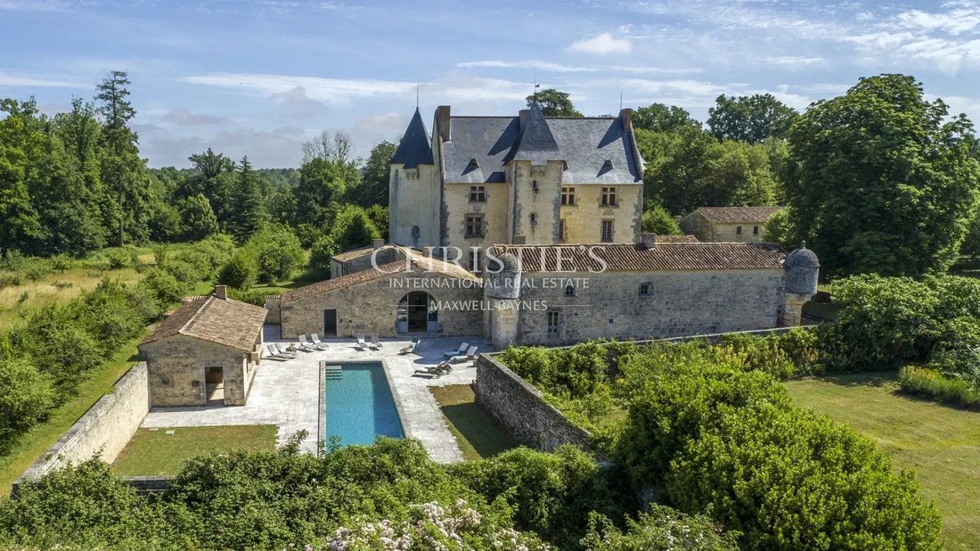 Castle in Centre, Saintes, France 3 - 13713939