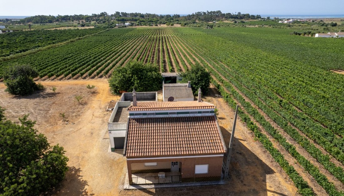 Rancho en Luz de Tavira e Santo Estevao, Algarve, Portugal 3 - 18526875