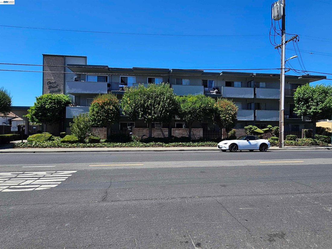 Hayward, California, United States 2 - 18528746