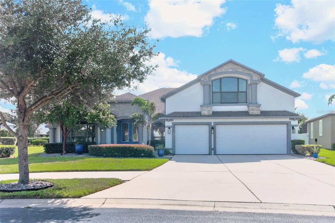 House in Dover, Florida, United States 1 - 18528306