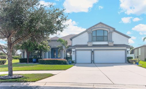 House in Dover, Florida, United States 1