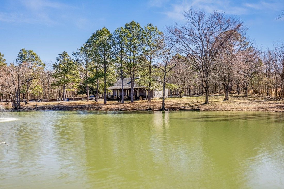 House in Memphis, Tennessee, United States 1 - 18527912