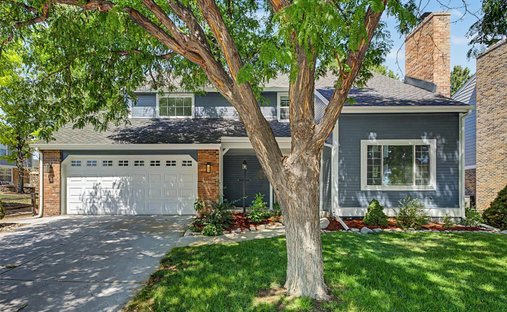 House in Centennial, Colorado, United States 1