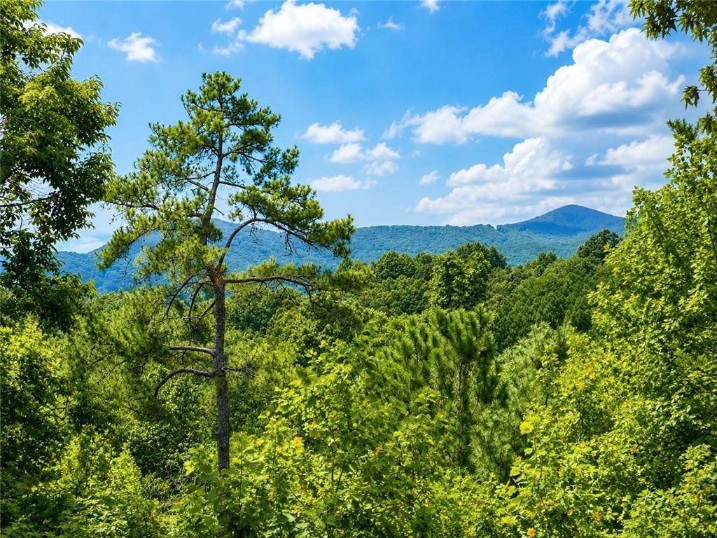 House in Ellijay, Georgia, United States 2 - 18493978