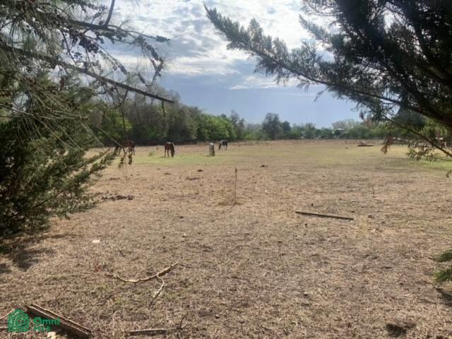 Land in City Bell, Buenos Aires Province, Argentina 3 - 17815061