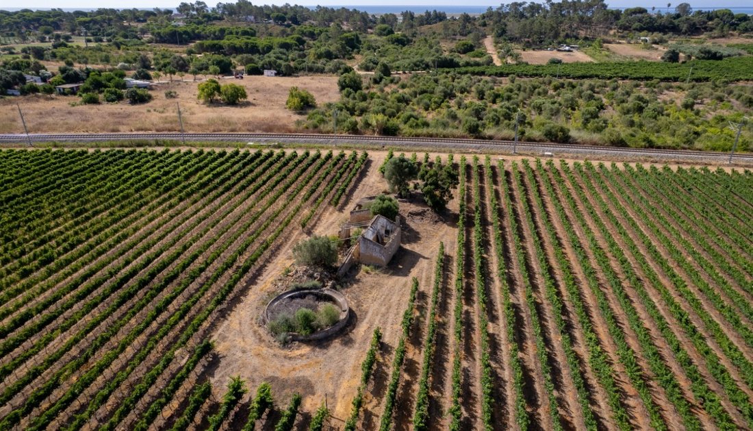 Rancho en Luz de Tavira e Santo Estevao, Algarve, Portugal 4 - 18526875