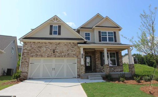 House in Flowery Branch, Georgia, United States 1