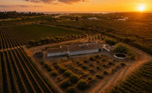 Farm Ranch in Luz de Tavira e Santo Estevao, Algarve, Portugal 1