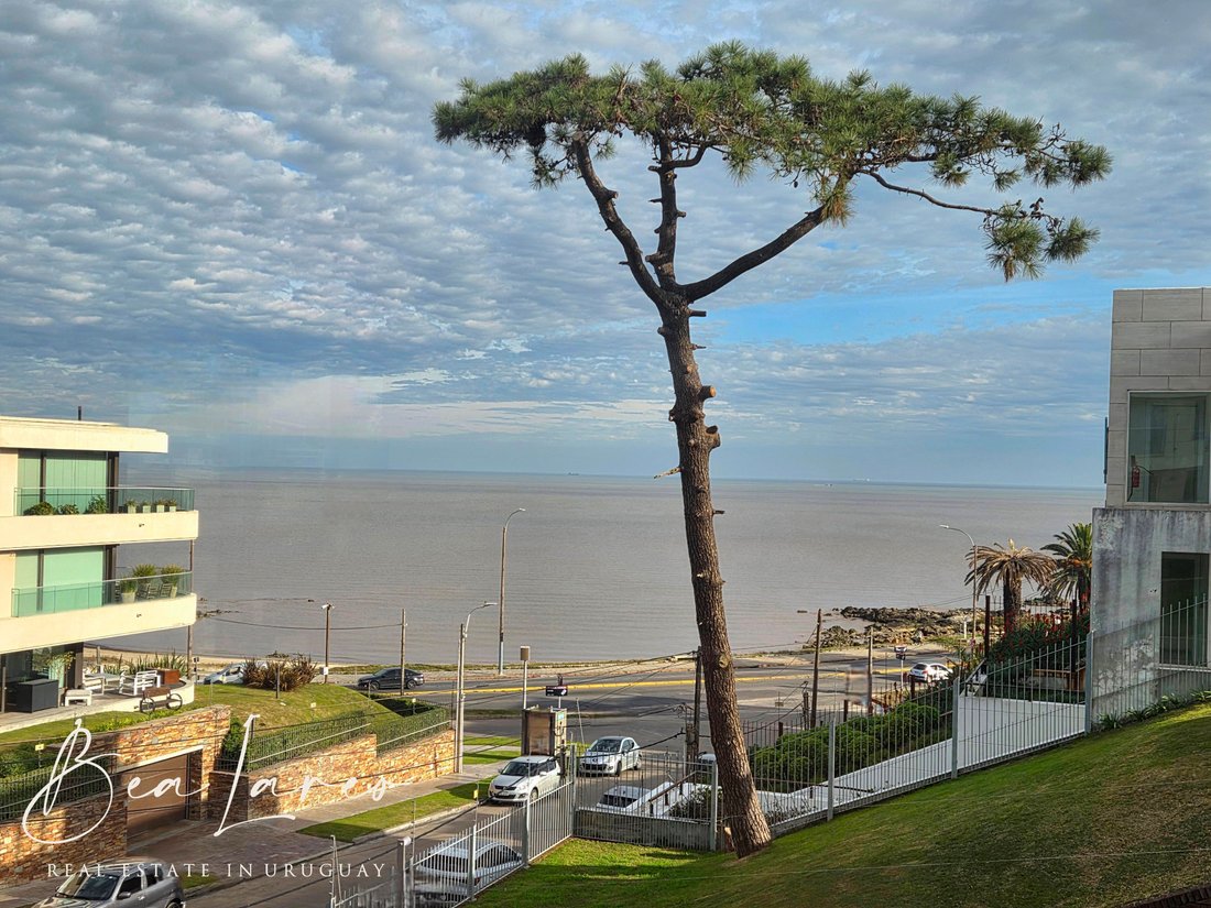 Apartment in Montevideo, Departamento de Montevideo, Uruguay 2 - 18527410
