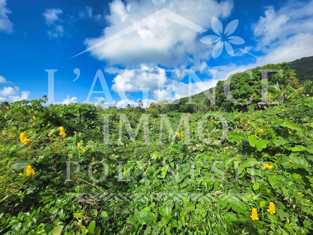 Land in Moorea-Maiao, French Polynesia 2 - 18530447