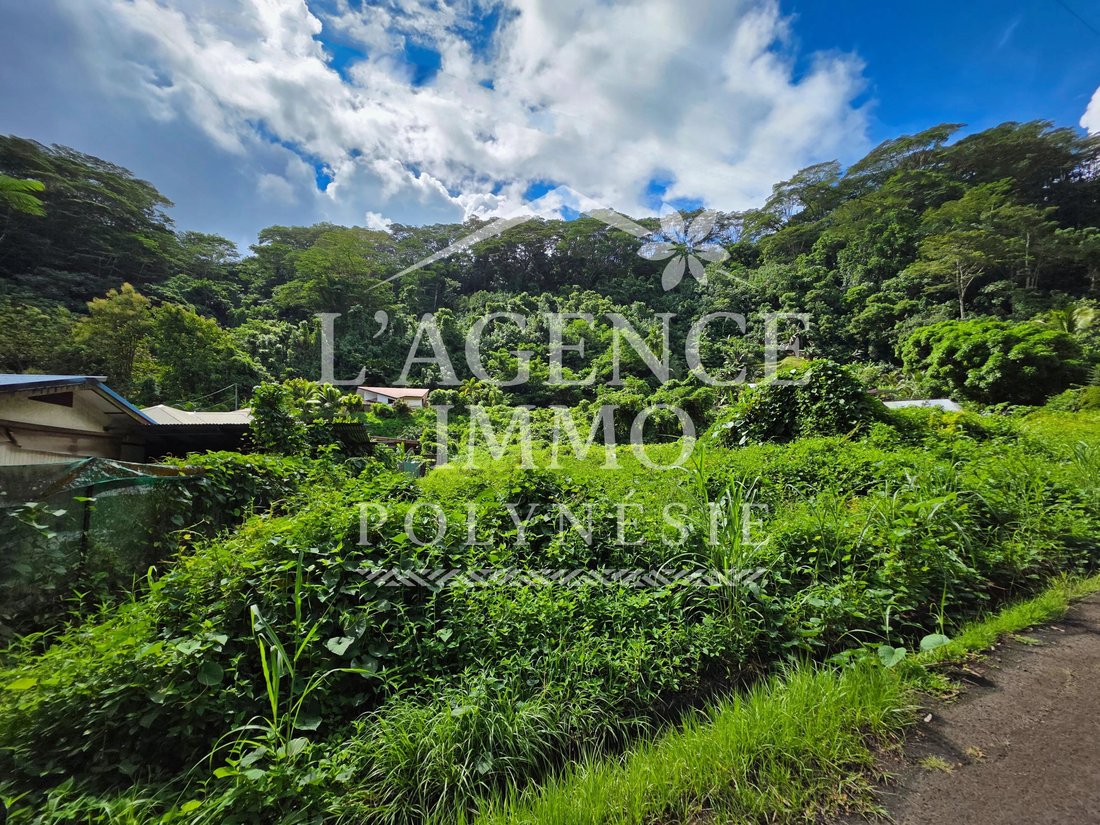 Land in Hitiaa O Te Ra, Windward Islands, French Polynesia 1 - 18530475