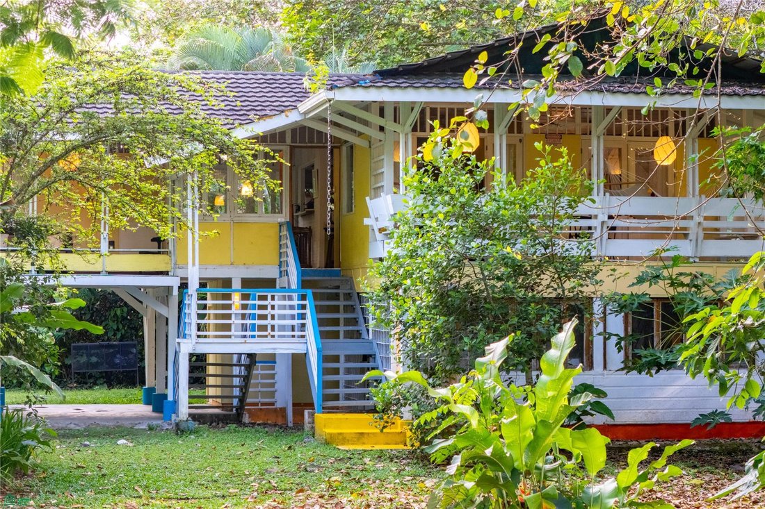 House in Cocles, Limón Province, Costa Rica 3 - 18530901
