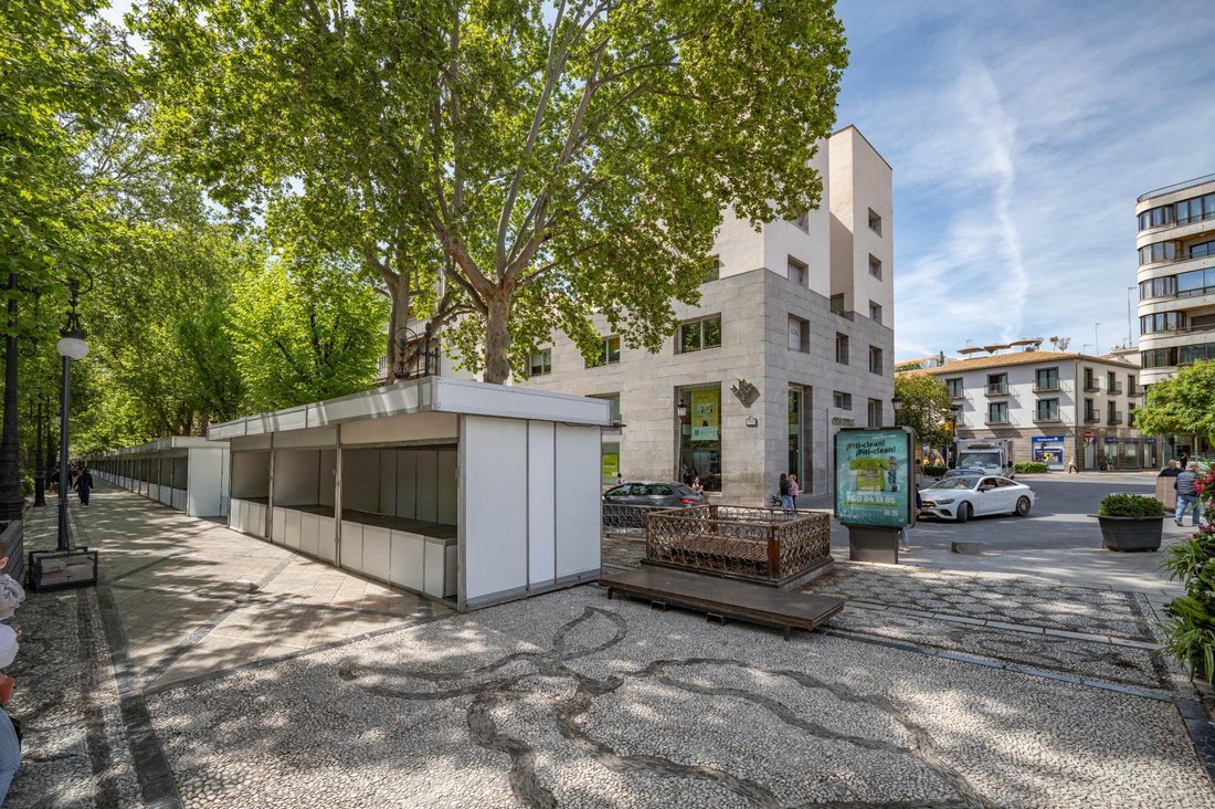 Apartment in Centro, Granada, Spain 4 - 18531006
