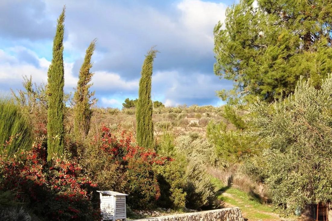 Villa in Penaguila, Valencian Community, Spain 3 - 16078867
