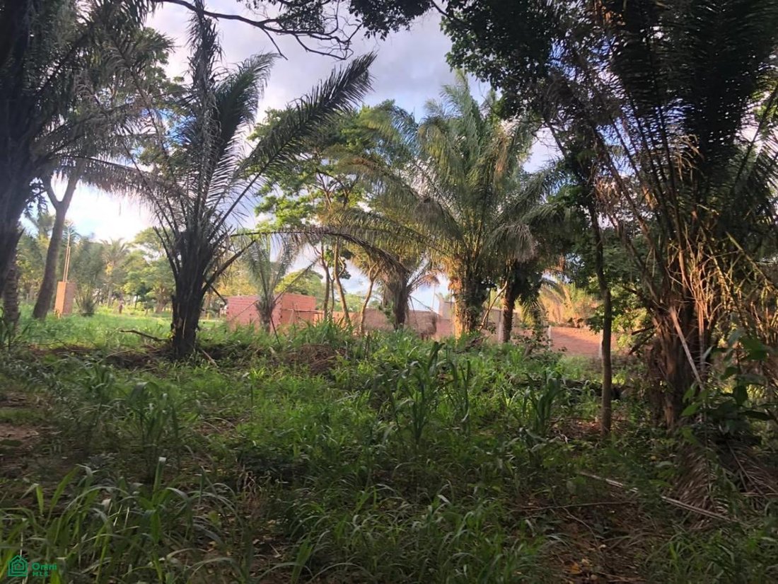 Land in Colinas del Urubó, Santa Cruz Department, Bolivia 1 - 18442816