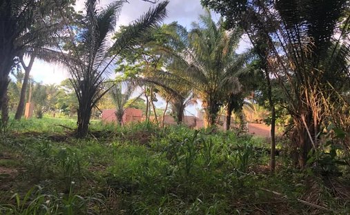 Land in Colinas del Urubó, Santa Cruz Department, Bolivia 1