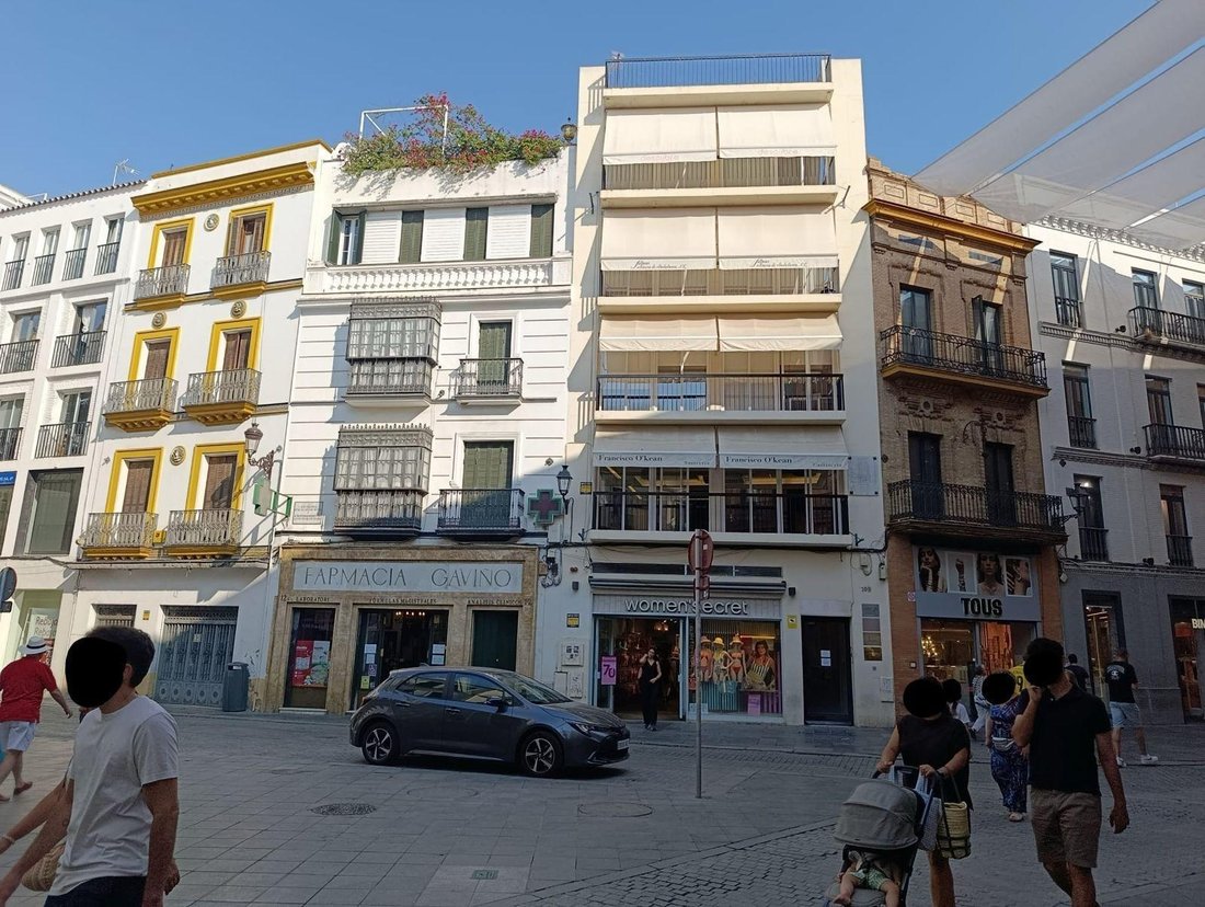 Apartment in Casco Antiguo, Seville, Spain 5 - 18530975