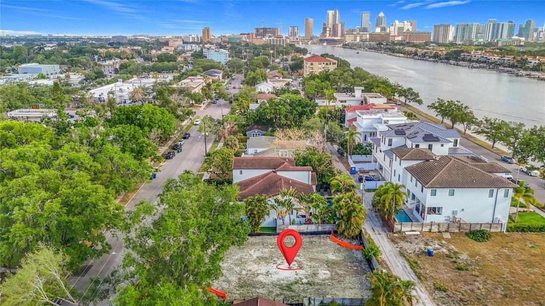 House in Tampa, Florida, United States 4 - 18531069