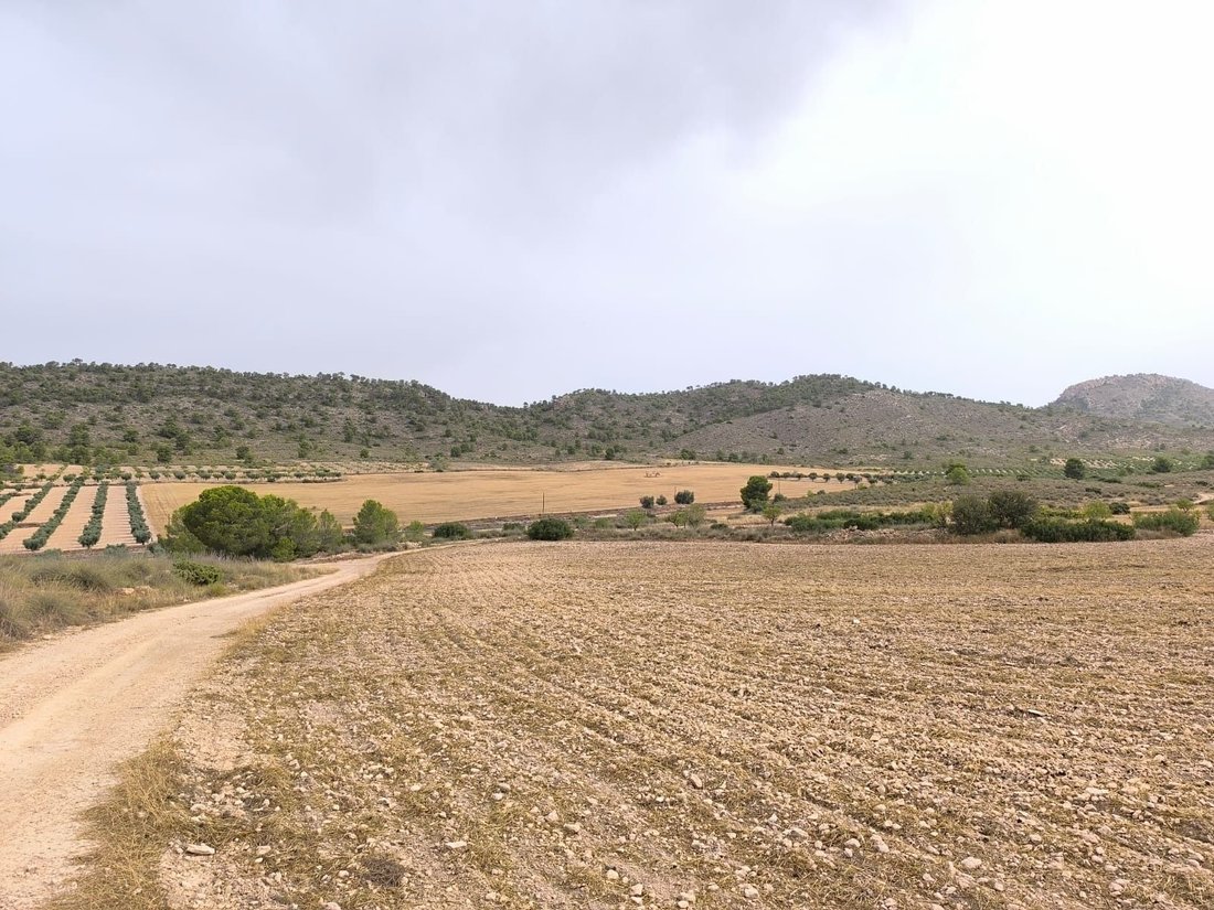 Terrain à Yecla, Murcie, Espagne 2 - 18531270