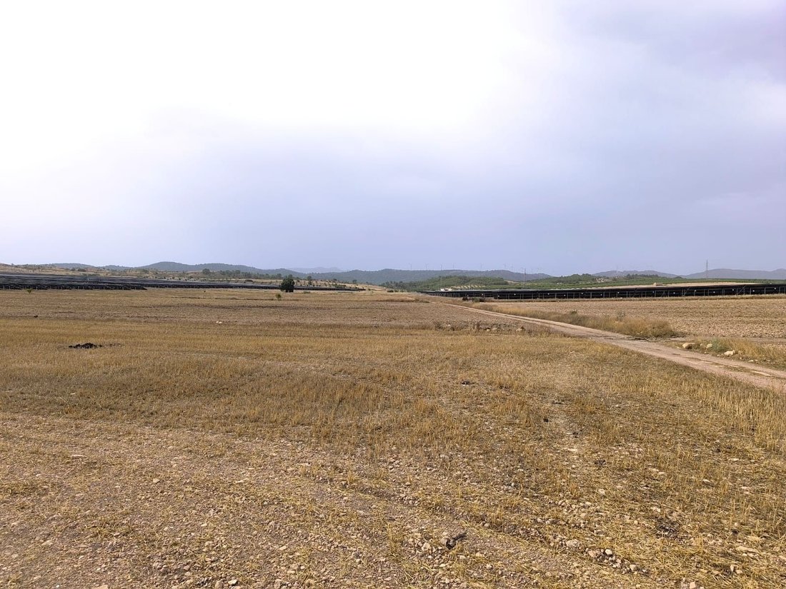 Terrain à Yecla, Murcie, Espagne 5 - 18531270