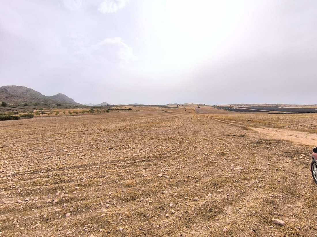 Terrain à Yecla, Murcie, Espagne 3 - 18531270