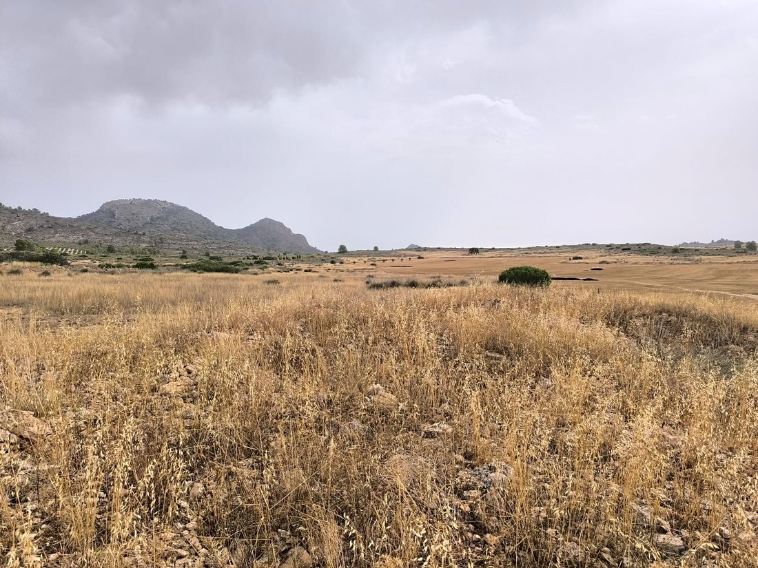Terrain à Yecla, Murcie, Espagne 4 - 18531270
