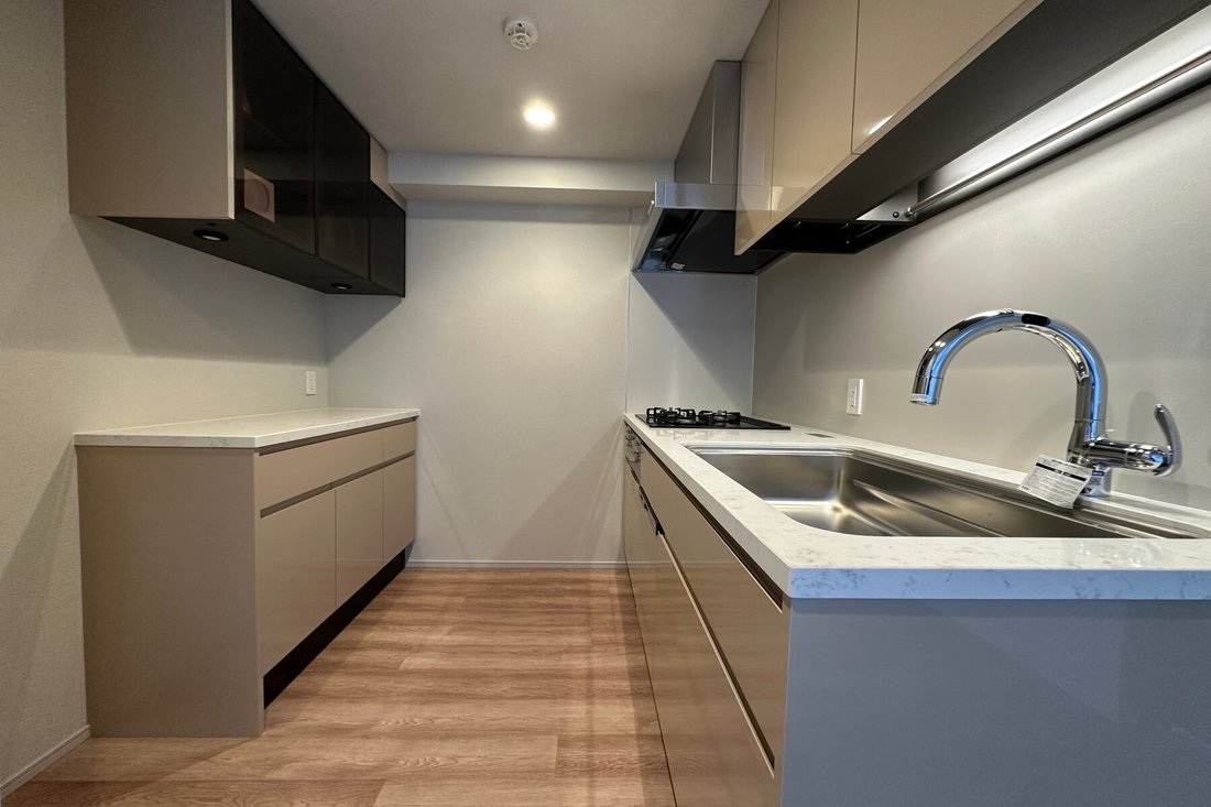 Condo in Chuo City, Tokyo, Japan 3 - 18531108