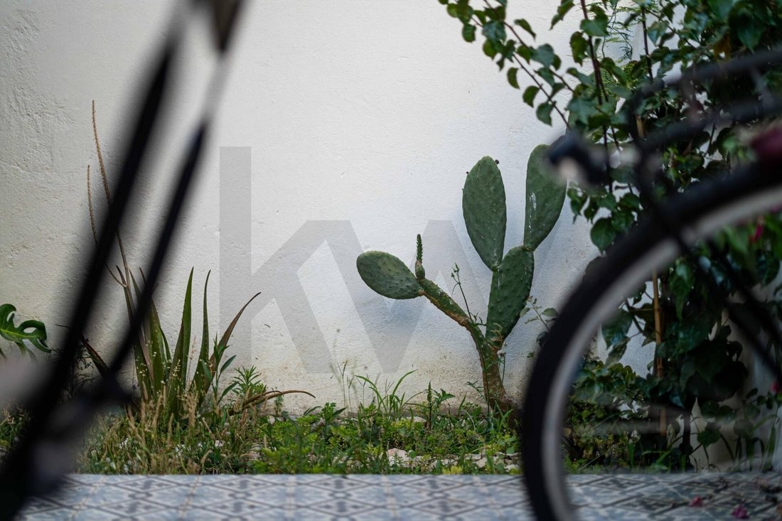 Apartment in Areeiro, Lisbon, Portugal 4 - 18531266