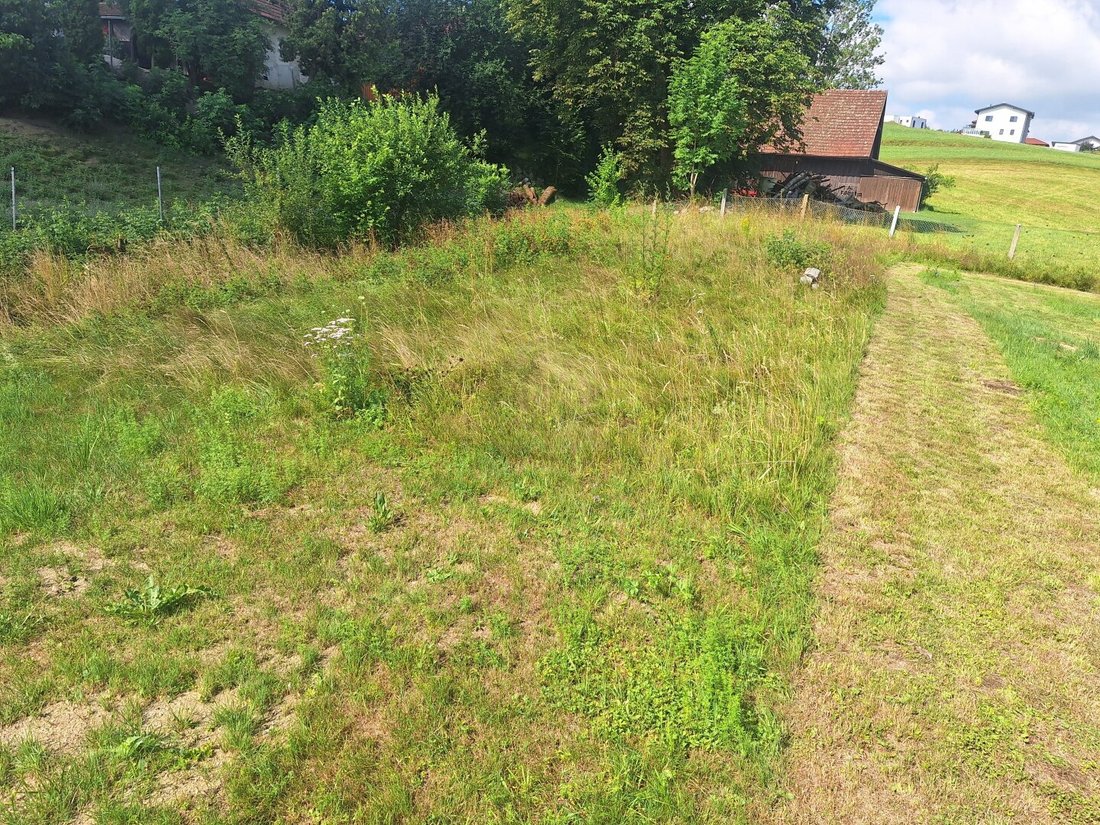 House in Raab, Upper Austria, Austria 4 - 18531309