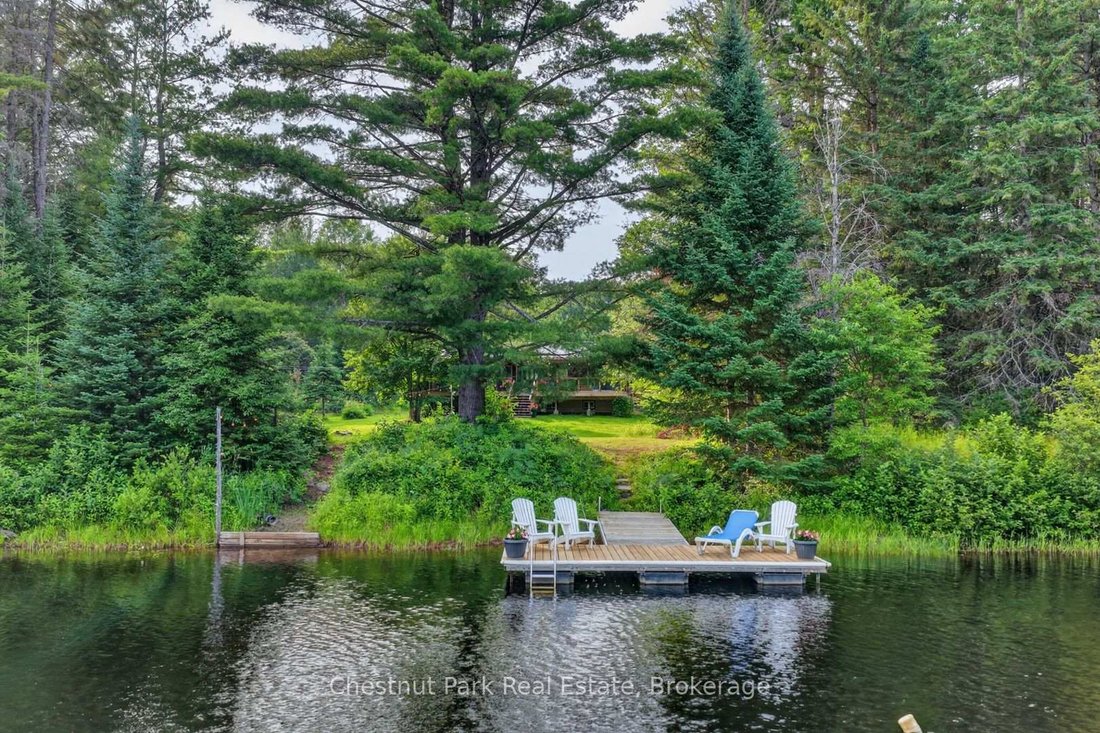 House in Bracebridge, Ontario, Canada 2 - 18531232
