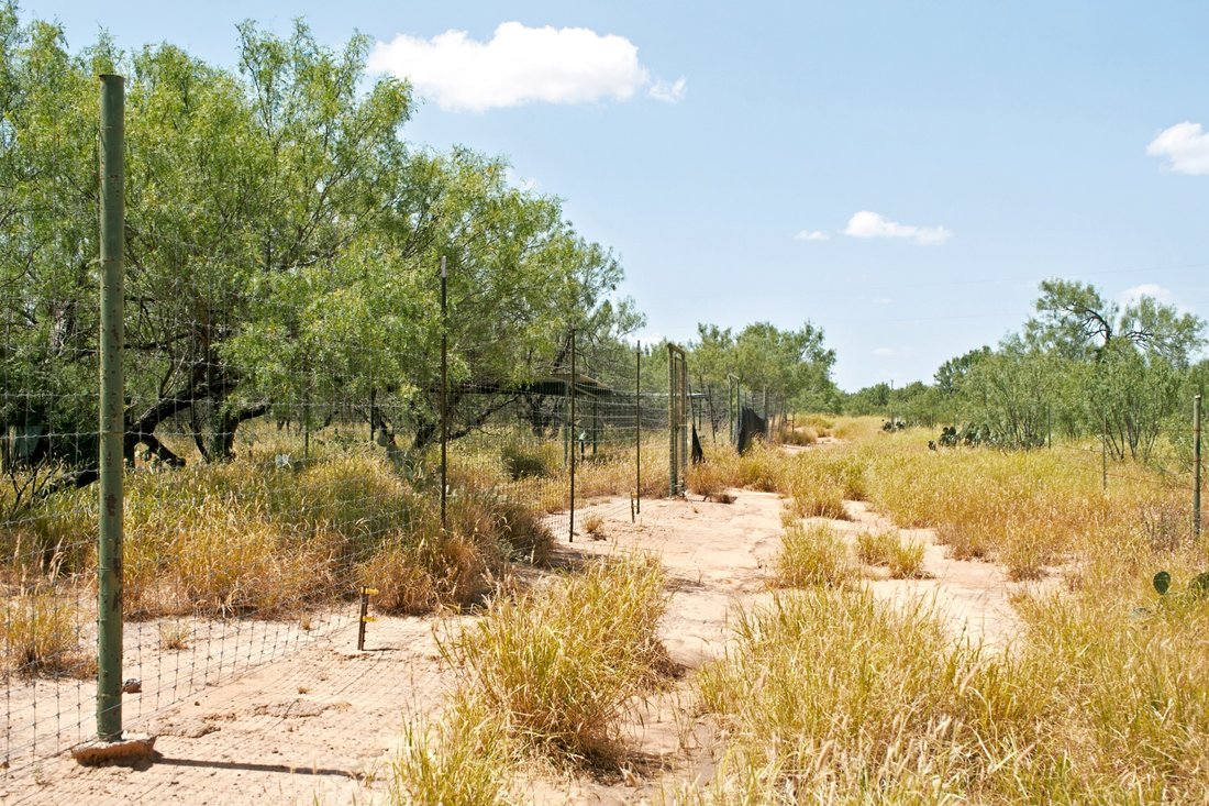Farm Ranch in Carrizo Springs, Texas, United States 5 - 18531473